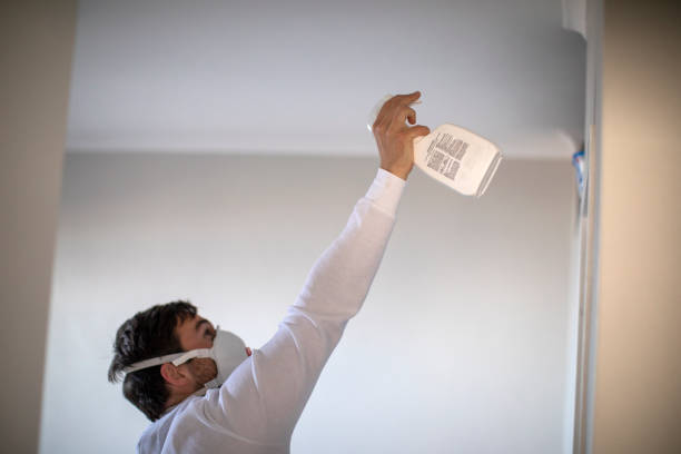 Best Mold Removal Near Me  in Zapata, TX