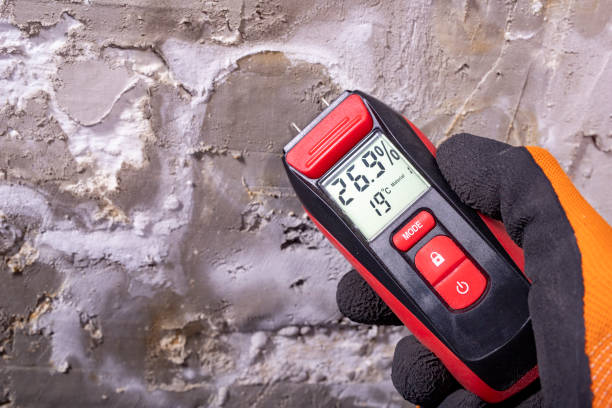 Trusted Zapata, TX Mold Removal Experts