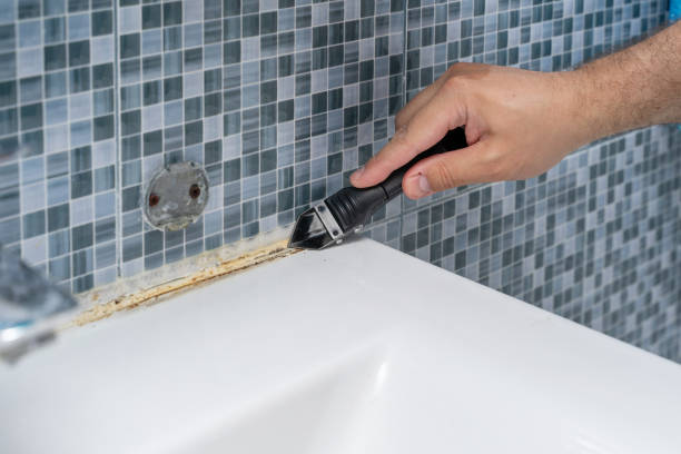 Best Residential Mold Removal  in Zapata, TX