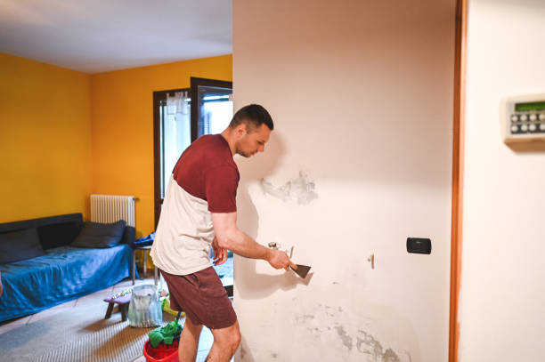 Best Mold Remediation Experts  in Zapata, TX